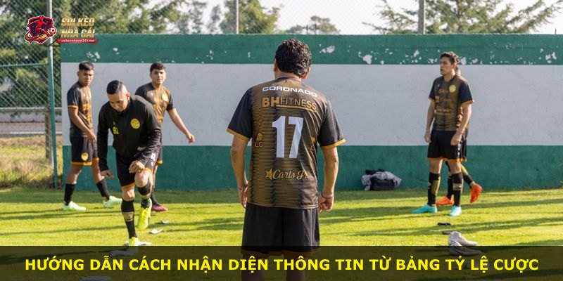 Hướng dẫn cách nhận diện thông tin từ bảng tỷ lệ cược