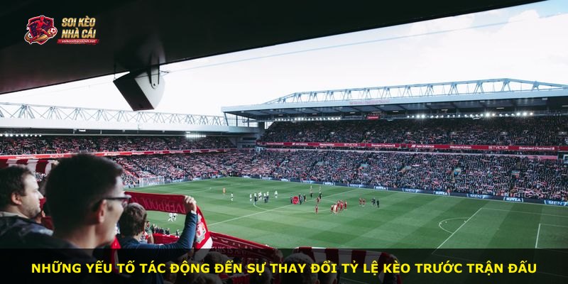 Những yếu tố tác động đến sự thay đổi tỷ lệ kèo trước trận đấu