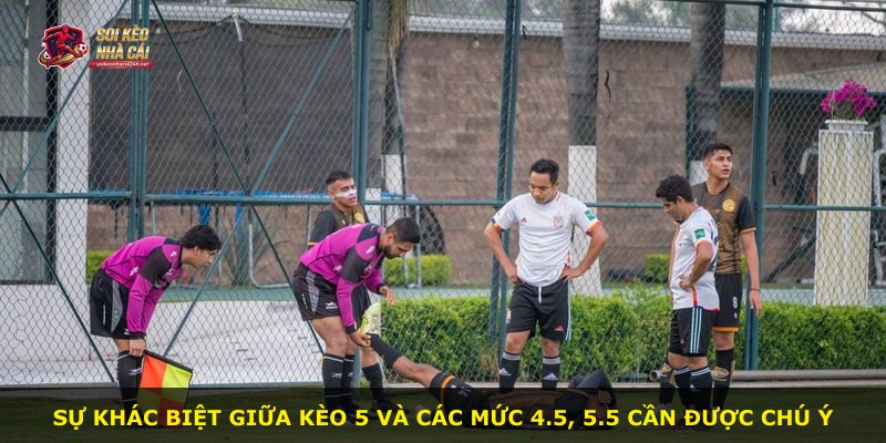 Sự khác biệt giữa kèo 5 và các mức 4.5, 5.5 cần được chú ý