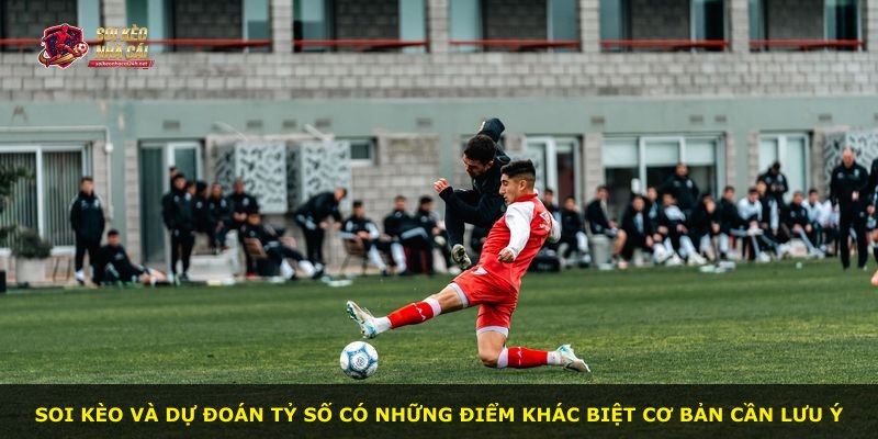 Soi kèo và dự đoán tỷ số có những điểm khác biệt cơ bản cần lưu ý