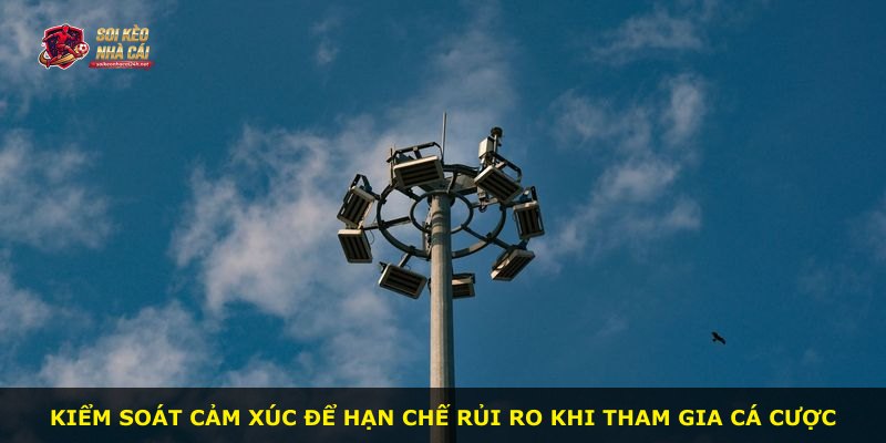 Kiểm soát cảm xúc để hạn chế rủi ro khi tham gia cá cược
