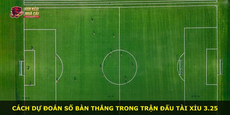 Cách dự đoán số bàn thắng trong trận đấu Tài Xỉu 3.25
