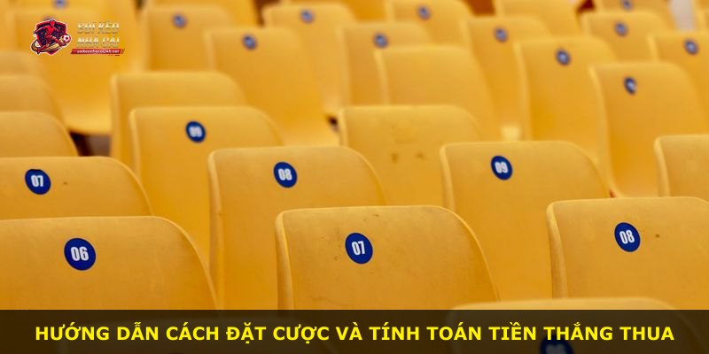 Hướng dẫn cách đặt cược và tính toán tiền thắng thua